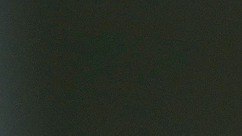 El presidente quería un evento especial de despedida.