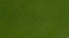 DJ LeMahieu bateó para .364 en la temporada recortada de 2020.