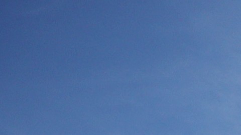 Personal de limpieza en la Casa Blanca.