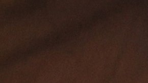 NEW YORK, NEW YORK - DECEMBER 21: Walgreens pharmacist Jessica Sahni administers the Pfizer-BioNTech COVID-19 vaccine at the New Jewish Home in Manhattan on December 21, 2020 in New York City. Pharmacists from Walgreens administered the vaccine to elderly residents at the upper Manhattan facility. Across the country, residents of nursing homes are beginning to get the vaccine following a week in which thousands of first responders and medical personal received the vaccine.  (Photo by Spencer Platt/Getty Images)