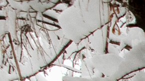 Una meteoróloga explica por qué es una mala idea comer carámbanos de hielo en un vídeo viral de TikTok.