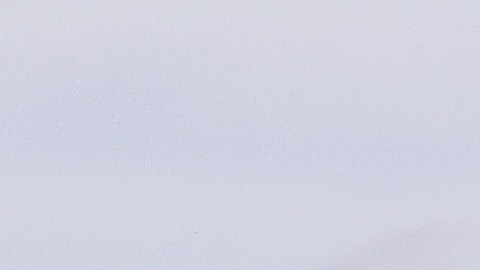 Seguidores de Donald Trump en Florida