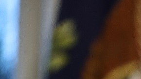 El presidente Joe Biden.