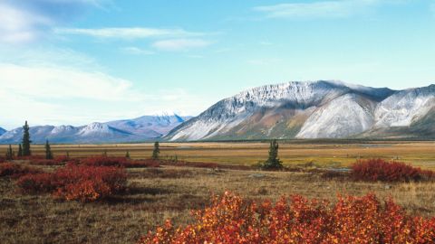 El Arctic National Wildlife Refuge en Alaska.