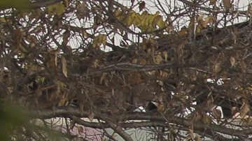 En el lugar no tenía alarmas de incendio, ni detectores de humo, ni rociadores de agua.