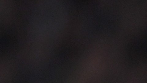 Javier Mascherano