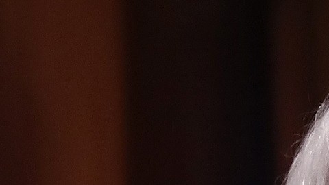 Los senadores Bernie Sanders y Charles Schumer lideran el plan de ayuda económica en el Senado.
