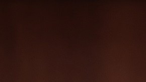 Charles Schumer reconfirmó plan para nuevo cheque de estímulo.