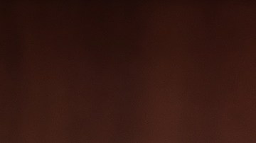 Charles Schumer reconfirmó plan para nuevo cheque de estímulo.