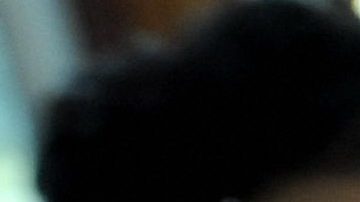 Si quieres reclamar el dinero perdido de tu cheque de estímulo necesitarás un aviso del IRS