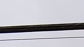 Dollar General pagará a sus trabajadores para que se vacunen de COVID-19