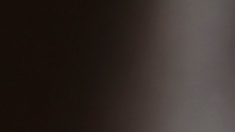 TurboTax confirma que los pagos del segundo cheque de estímulo comenzarán a ser depositados este viernes a sus clientes