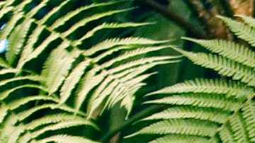 La injerencia de Cuba en Venezuela fue castigada por EE.UU.