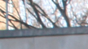 Se tratan de equilibrar las cuentas para  recuperar a la ciudad del déficit causado por el COVID-19.