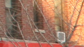 40% de los habitantes de la Gran Manzana no nacieron aquí.