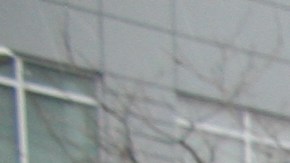 La joven Yeilyn Vargas es una de las miles de trabajadores de restaurantes que han perdido sus empleos por la pandemia.