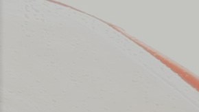 Desde hace 7 años un centenar de organizaciones se movilizaron para aprobar esta norma que beneficia a emprendedores en su mayoría inmigrantes.