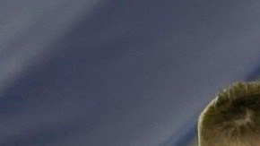 Leicester City llega a 38 puntos y toma momentáneamente el liderato.