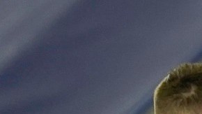 Leicester City llega a 38 puntos y toma momentáneamente el liderato.