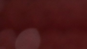 Palmeiras River Plate Libertadores