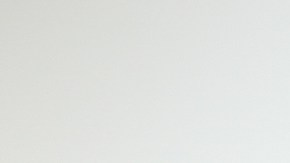 Vicente Fernández Jr.