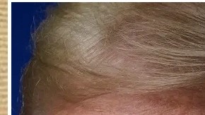 El presidente Trump ha sido bloqueado incluso en Grindr.