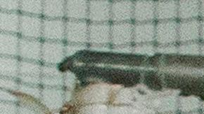 La mayoría de los sitios de vacunación en NYC tuvieron que ser cerrados esta semana por la escasez de dosis.