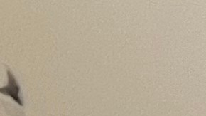 El líder comunitario Walter Sinche, candidato a Asambleísta por los ecuatorianos en el exterior.