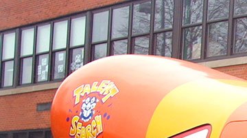 Para el empleo debes contar con una licenciatura terminada y una licencia de conducir.