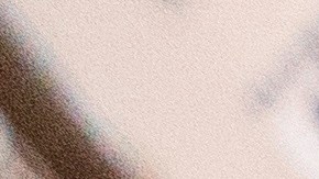 Los seguidores de Trumpo ingresaron con violencia al Capitolio.