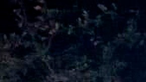 Testigos aseguran que se trata de un grupo de guatemaltecos.