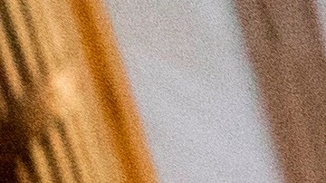 Los manifestantes lograron ingresar a ambas cámaras.