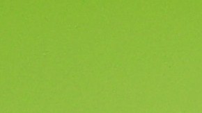 Tom Brady tiene un tocayo en el estado de Nayarit.