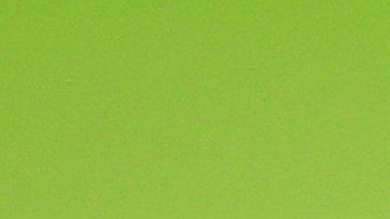 Tom Brady tiene un tocayo en el estado de Nayarit.