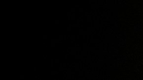 El vicepresidente Mike Pence.