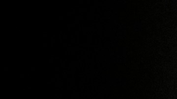 El vicepresidente Mike Pence.