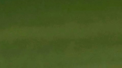 Leo Messi