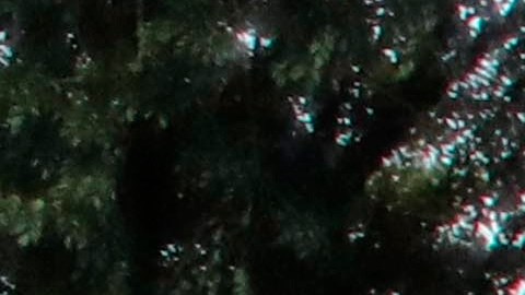 La última en morir de su familia fue su madre.