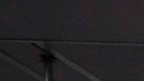 Imágenes comprometedoras comenzaron a circular en redes.