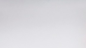 El presidente Trump durante su mitin en Georgia.