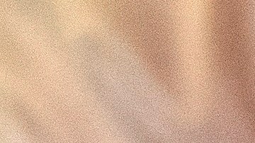 La cantidad de dinero sumada alcanzaría para comprar vacunas para todos.