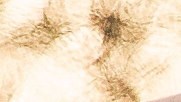 Trump abandona la Casa Blanca