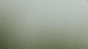 Indocumentados podrán tener licencias en Oregon y Virginia.