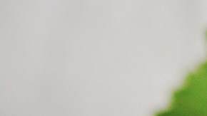 Té de hierbas