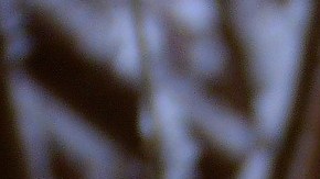 Remedio de jengibre y limón