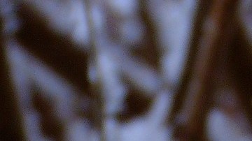 Remedio de jengibre y limón