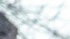 Hombres se han sumado a marchas por derechos de la mujer.