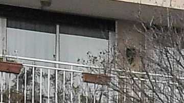 Los aficionados de Olympique de Marsella no soportan más decepciones.