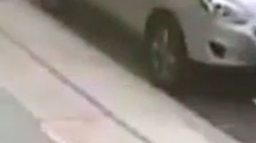 El descarado caminante