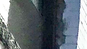 Meseros y personal de restaurantes piden a Joe Biden el fin del subsalario mínimo./Cortesía.